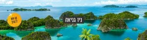 ניו גניאה